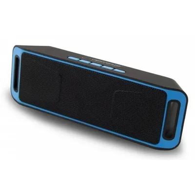 A black and blue portable Bluetooth speaker shown at a slight angle on a white background.