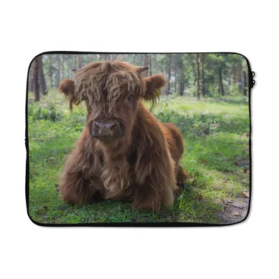 Produktbild von MuchoWow® Laptop Hülle 17 Zoll Laptoptasche Schottischer Highlander - Kröte - Tiere - Zipper - Schutzabdeckung