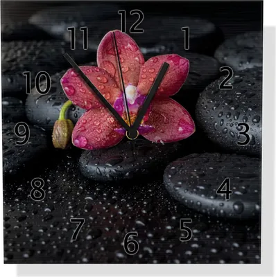 Produktbild von Wallario Design Wanduhr Orchideen-Blüte auf schwarzen Steinen, benetzt mit Wasser-Tropfen aus Aluverbund, Größe 30 x 30 cm