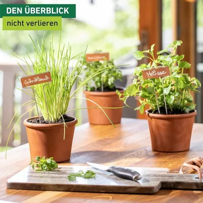 Produktbild von Pflanzschilder Kupfer
