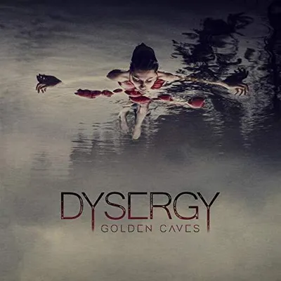 Produktbild von Dysergy