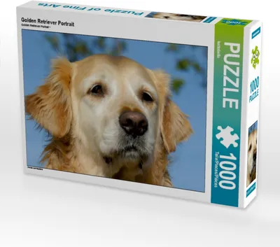 Produktbild von Calvendo Golden Retriever Portrait 1000 Teile Puzzle quer 640x480mm, CALVENDO; 7311098