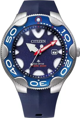 Image de Zegarki Citizen BN023101L
