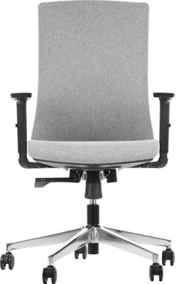 Obrázok produktu pre Ergonomická otočná kancelárska stolička TONO, chrómová podnož, nastaviteľné podrúčky, sivé čalúnenie