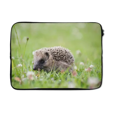 Produktbild von MuchoWow® Laptop Hülle 14 ZollKleiner Igel im Gras Laptoptasche - Laptoptasche - Stoßsicher - Schutzhaube