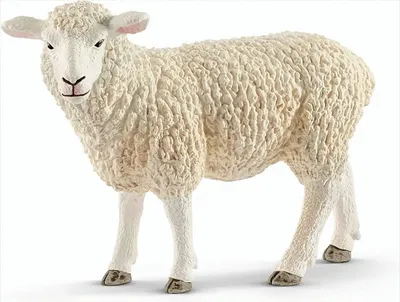 Produktbild von Schleich 13882 Farm World Schaf