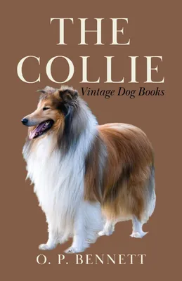 Produktbild von The Collie