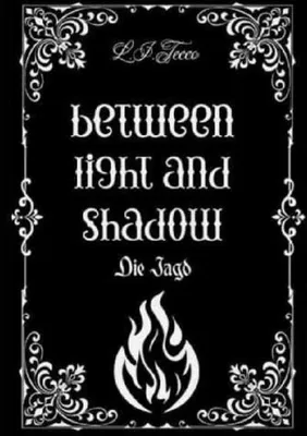 Produktbild von Between light and shadow