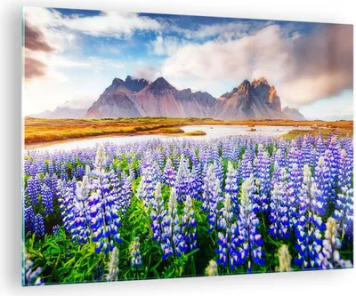 Produktbild von Bilder auf glas - Berge Wiese Blumen - 70x50cm - Glasbilder - Wandbilder - Kunstdruck - zum Aufhängen bereit - Wanddekoration aus Glas - Glas Bilder - Wandbild auf Glas - Einteilig - GAA70x50-4114