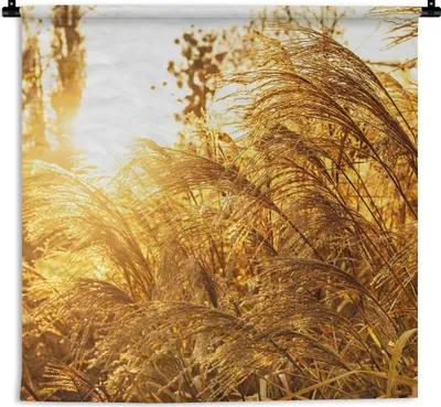 Produktbild von MuchoWow® Wandteppich Wandbehang Pampasgras - Sonne - Gras 150x150 cm Tapisserie Dekoration Wandtuch - Wohnaccessoires - Modernes