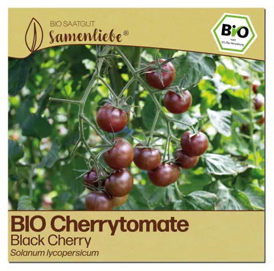 Produktbild von Samenliebe  Tomate Samen | Black Cherry - violett & süß - samenfestes  Saatgut