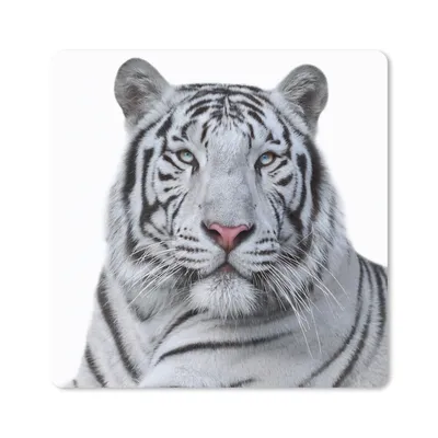 Produktbild von MuchoWow® Mauspad Mousepad Tiger - Weiß - Tiere 23x19 cm - Mousepads - Maus Mat - Pad - Mausunterlage - Schreibtischunterlage - Mauspad
