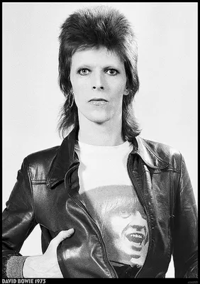 Image de David Bowie - 1973 - Affiche Poster - 59x84cm