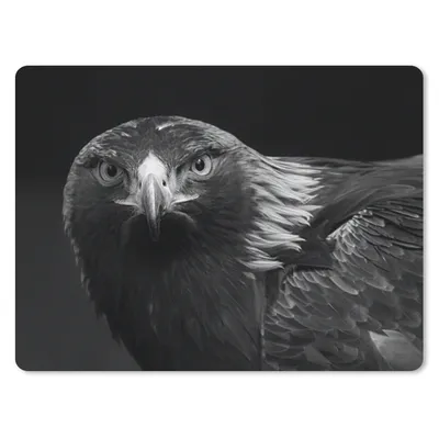 Produktbild von MuchoWow® Mauspad Mousepad Bussard - Vogel - Tiere - Schwarz - Weiß 23x19 cm - Mousepads - Maus Mat - Pad - Mausunterlage - Schreibtischunterlage - Mauspad