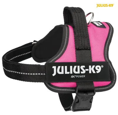 Produktbild von Julius-K9® IDC Powergeschirr®, S / Mini: 51–67 cm / 28 mm, fuchsia
