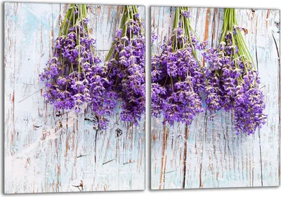Obrázek produktu pro Sada krycích desek na sporák 2x40x52 cm Skleněný kryt varné desky, levandulově fialový