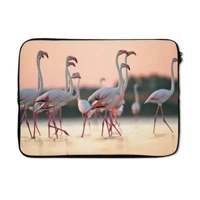Produktbild von MuchoWow® Laptop Hülle 13 Zoll Flamingos bei Sonnenuntergang Laptoptasche - Laptophülle - Sleeve - Rundumschutz