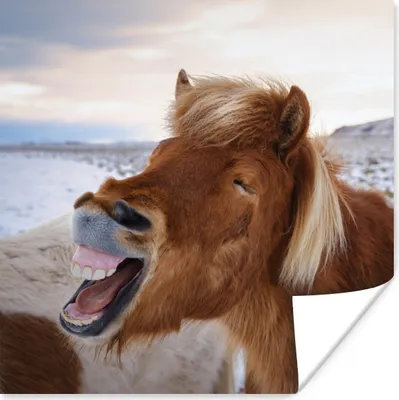 Produktbild von MuchoWow® Poster Pferd - Strand - Braun 75x75 cm - Wand Dekoration