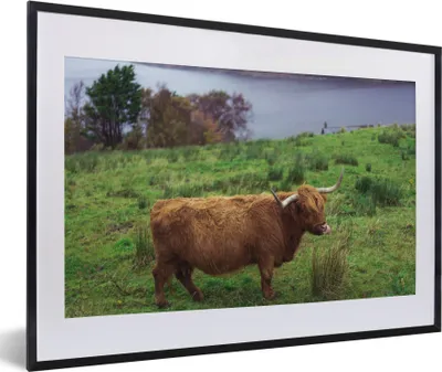 Produktbild von MuchoWow® Gerahmtes Poster Schottische Highlander - Gras - Wasser - Tiere 60x40 cm - Poster mit Schwarzem Bilderrahmen Wandposter Rahmen Foto Bilder - Schlafzimmer - Plakat in Rahmen - Drucken