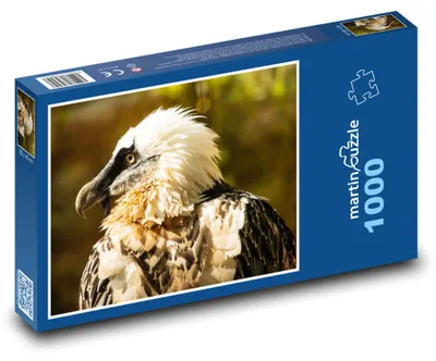 Zdjęcie produktu dla Puzzle 1000 Orłosęp - Ptaka - martinpuzzle