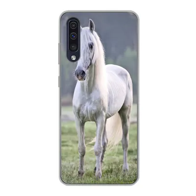 Produktbild von MuchoWow® Handyhülle Schutzhülle Hülle für Samsung Galaxy A30s Pferd - Licht - Morgen Silikon Softcase Handy Hülle - Karteninhaber