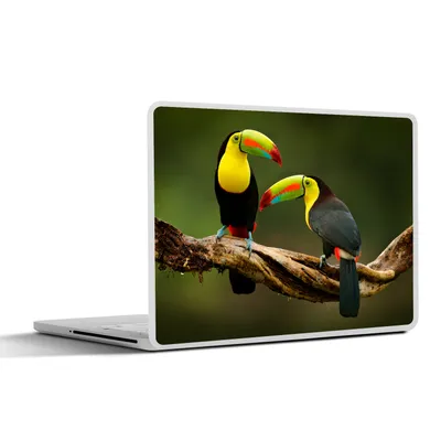 Produktbild von MuchoWow® Laptop Aufkleber Sticker Cover Vögel - Tukan - Zweig - Tiere - Regenbogen 31x22.5 cm - Laptop-Deko