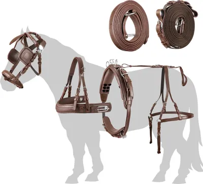 A collection of horse tacking equipment, including a bridle, reins, breast collar, and harness, laid out against a silhouette of a horse.