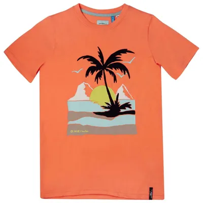 Imagen del producto de O'Neill: camiseta de manga corta para niños, talla 128