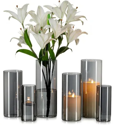 Productafbeelding van Glazen vazen, cilindervormig, grijs, set van 6, 15/20/25 cm, borosilicaatglas, windlicht voor kaarsen
