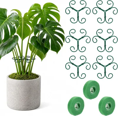 Productafbeelding van Plantensteun 6 stuks, metaal, rond, klimhulp voor kamerplanten