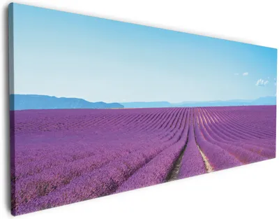 Produktbild von Wallario Premium Leinwandbild Lavendelfeld unter blauem Himmel in Größe 60 x 150 cm
