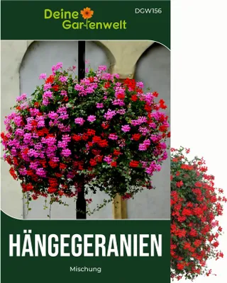 Produktbild von Hängegeranien Mischung Samen - Pelargonium peltatum - Petuniensamen - Blumensamen - Saatgut für 20 Pflanzen
