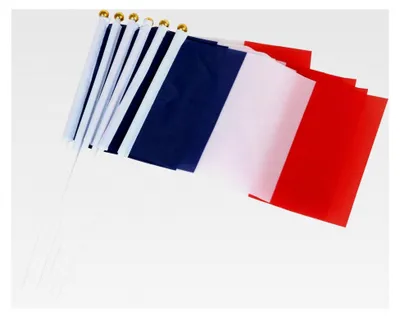Produktbild von 10 Handflaggen aus Nylon Frankreich
