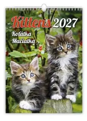 Immagine prodotto di Calendario 2027: Gattini (N180-27)