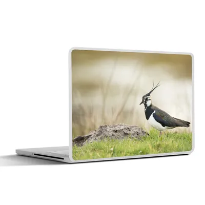 Produktbild von MuchoWow® Laptop Aufkleber Sticker Cover Vogel - Gras - Tiere - Natur - Kiebitz 30x21 cm - Sticker für Laptop - Selbstklebend