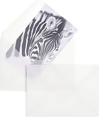 Produktbild von Transparente Briefumschläge - Weiß (Transparent-Weiß)114 x 162 mm (DIN C6) | 90 g/qm Offset | Ohne Fenster | Nassklebung | Spitze Klappe | 25 Stück