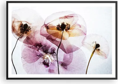 Produktbild von Gerahmtes Poster - Schwarzer Rahmen - blume sommer natur - 100x70 cm - Wand Bild - Wanddeko - Wandbilder - Kunstposter - Wandposter - Bilderrahmen - Bilder - Kunstdruck - Wandbild - P2BAA100x70-3821