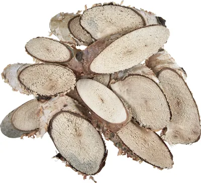 Produktbild von Holzscheiben Birke oval Deko-Basteln Natur 4-9cm 450g