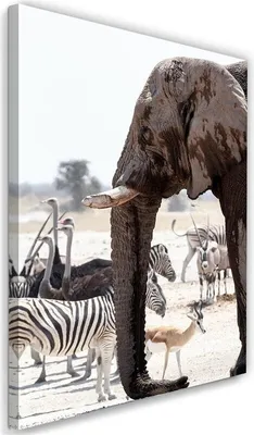 Produktbild von Leinwandbild tiere afrika elefanten zebras strauße antilopen 70x100 cm Feeby braun wandbild bereit zum aufhängen