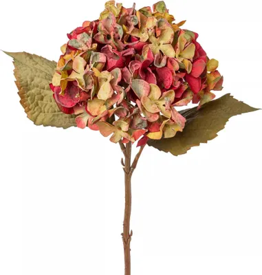 Produktbild von Kunstblume HORTENSIE 46 cm. In Trockenblumenoptik. Rot-Grün BUNT