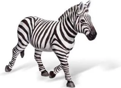 Produktbild von tiptoi® Zebrastute
