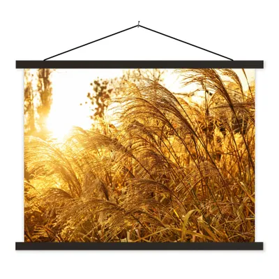 Produktbild von MuchoWow® Textilposter Pampasgras - Sonne - Gras 40x30 cm mit schwarzem Rahmen - Dekorationen