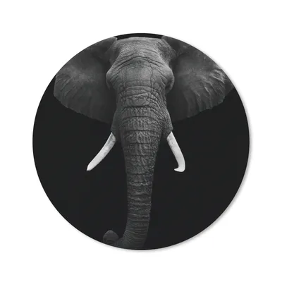 Produktbild von MuchoWow® Mauspad Mousepad Elefant - Wildtiere - Schwarz - Weiß - Porträt 20x20 cm - Mousepads - Maus Mat - Pad - Mausunterlage - Schreibtischmatte