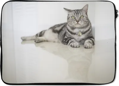 Produktbild von MuchoWow® Laptop Hülle 13 Zoll Katze - Grau - Tier - Mädchen - Kinder - Jungen - Kind Laptoptasche - Laptophülle - Sleeve - Rundumschutz