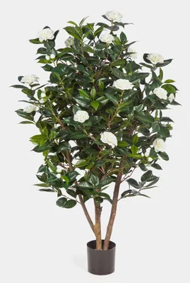 Produktbild von artplants.de Deko Kamelie Japonica, 1000 Blätter, 32 Blüten, weiß, 150cm - Künstlicher Baum - Kunstblume