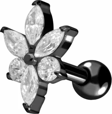 Produktbild von Ohrpiercing Titan Ohrpiercing KRISTALLBLÜTE