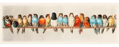 Produktbild von Leinwandbild Birds III 77x27 cm