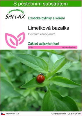 Obrázek produktu pro SAFLAX - Limetková bazalka - Ocimum citriodorum - 200 Semena - S pěstebním substrátem bez klíčků