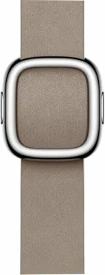 A close-up studio shot of a watch band buckle.