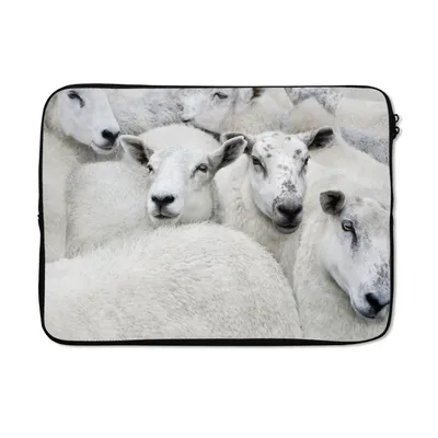 Produktbild von MuchoWow® Laptop Hülle 14 ZollSchafe - Tiere - Bauernhof Laptoptasche - Laptoptasche - Stoßsicher - Schutzhaube